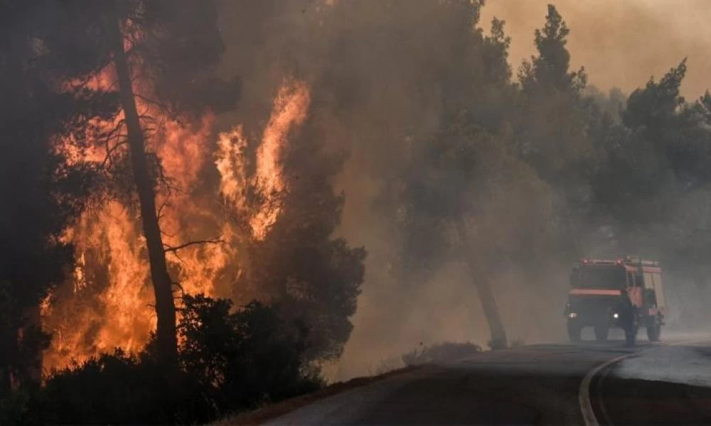 Συναγερμός για μεγάλη φωτιά στην Μενδενίτσα Φθιώτιδας